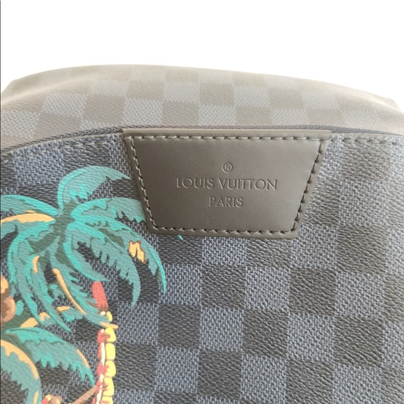 Louis Vuitton Lv Apollo Cobalt Jungle Backpack - Picture 2 of 14